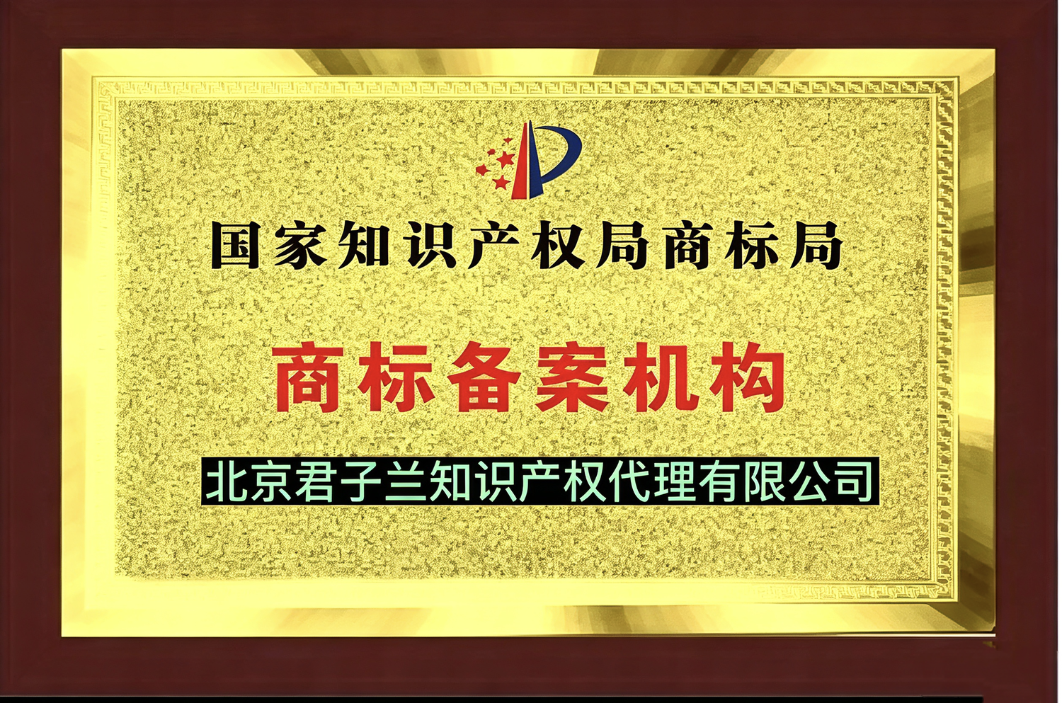 君子兰.png